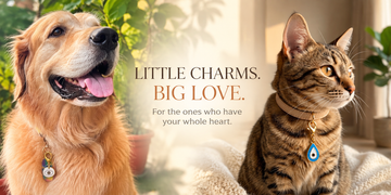 Nazar Pet Charms