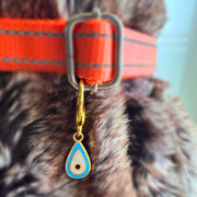 Pet Protection EvilEye - Raindrop Charm