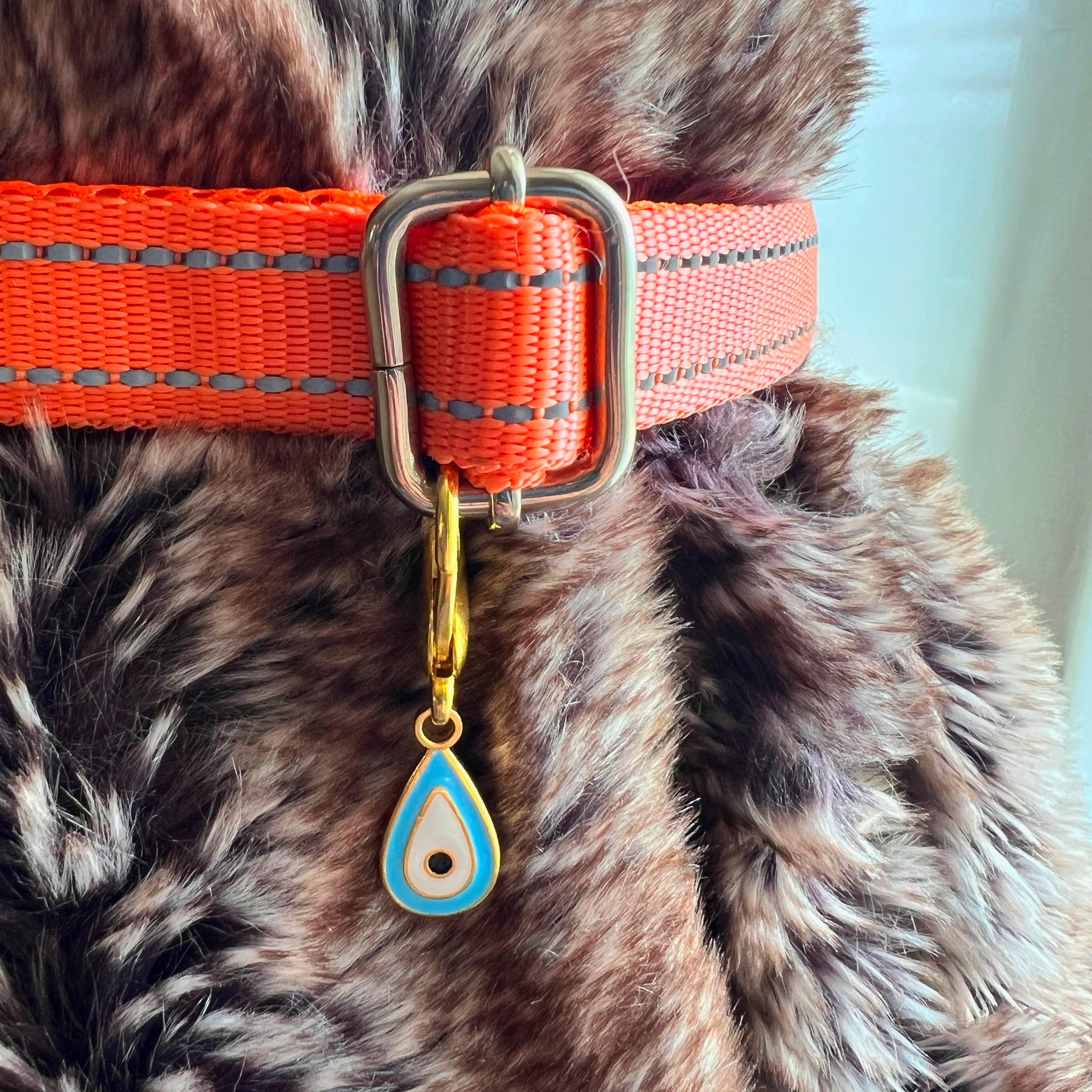 Pet Protection EvilEye - Raindrop Charm