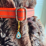 Pet Protection EvilEye - Raindrop Charm