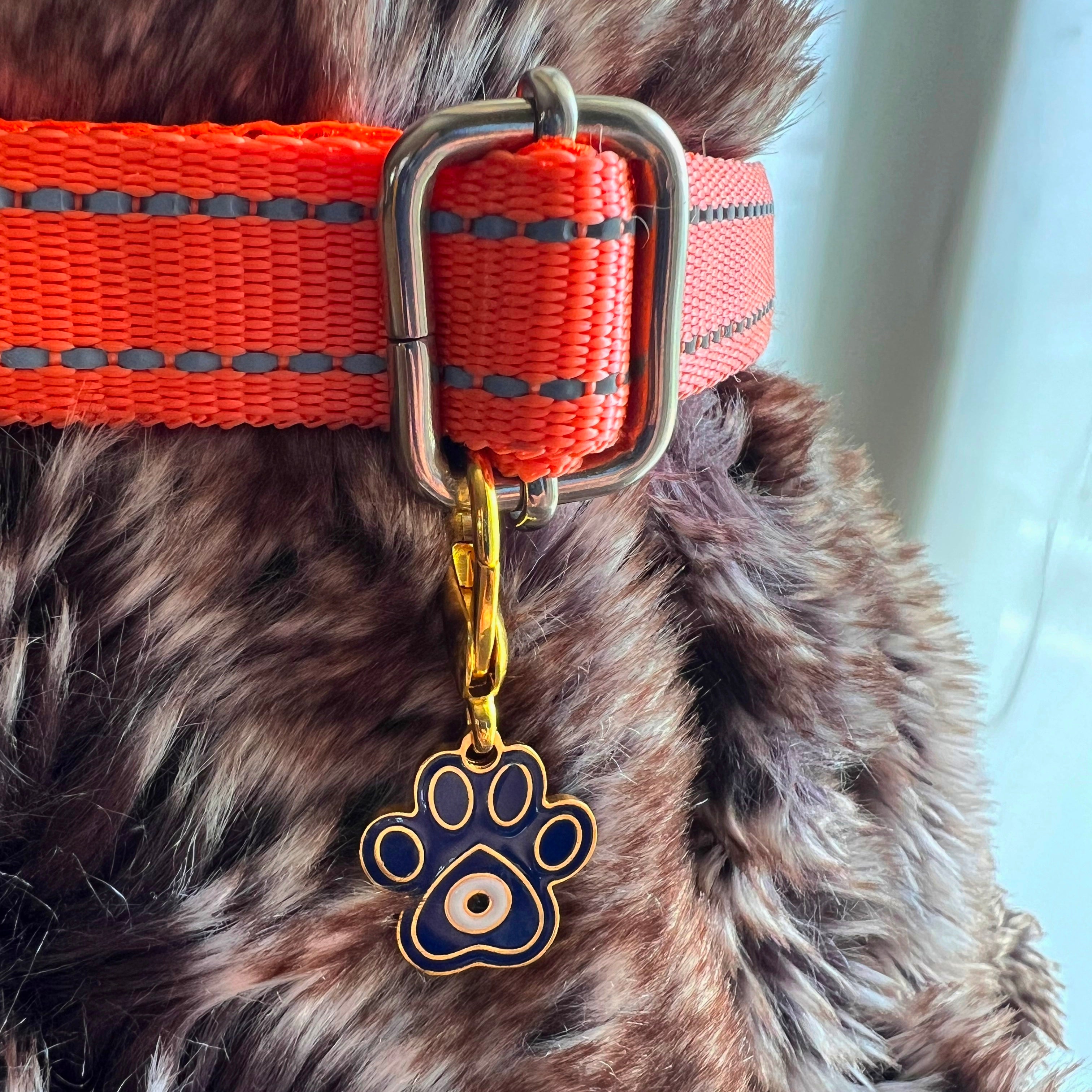 Pet Protection EvilEye - Paw Charm