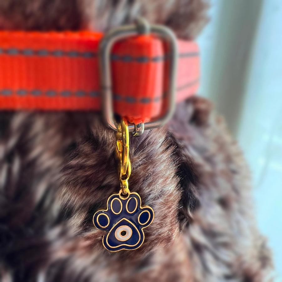 Pet Protection EvilEye - Paw Charm