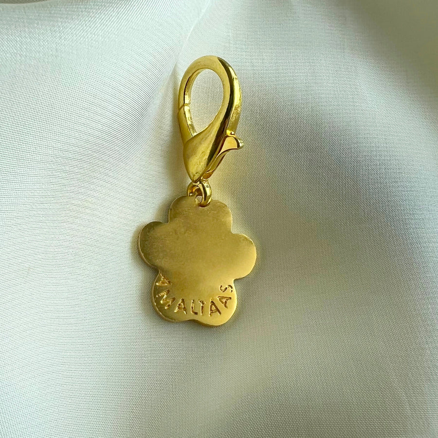 Pet Protection EvilEye - Paw Charm