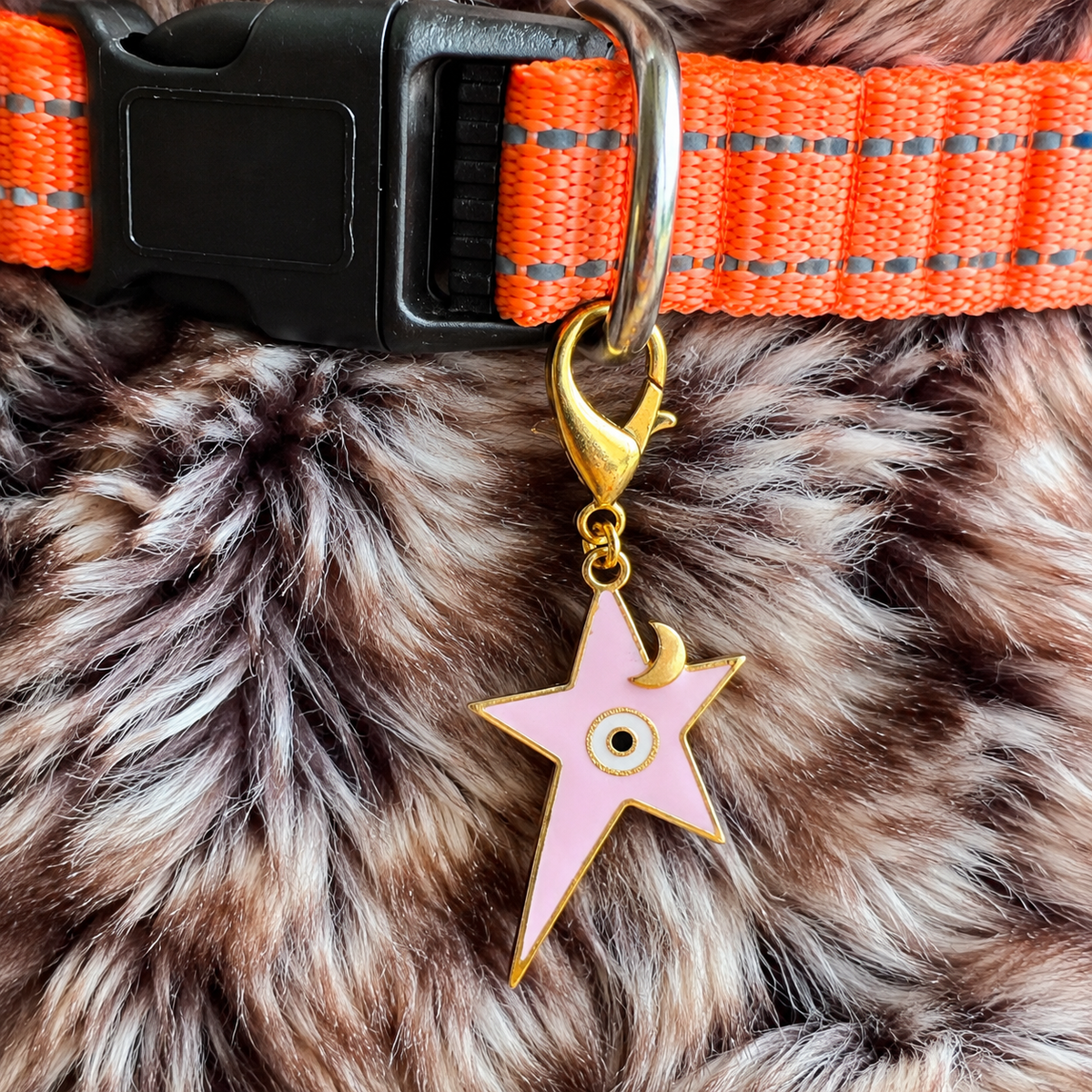 Pink Star Nazar Pet Charm in 22k gold plating clipped to a pet collar