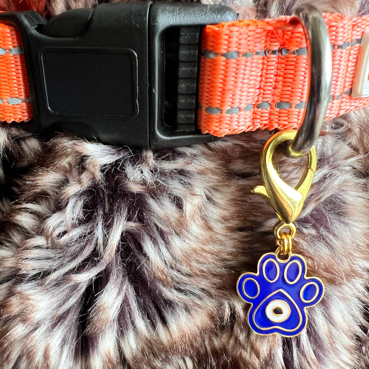 Blue Paw Nazar Pet Charm in 22k gold plating clipped to a pet collar