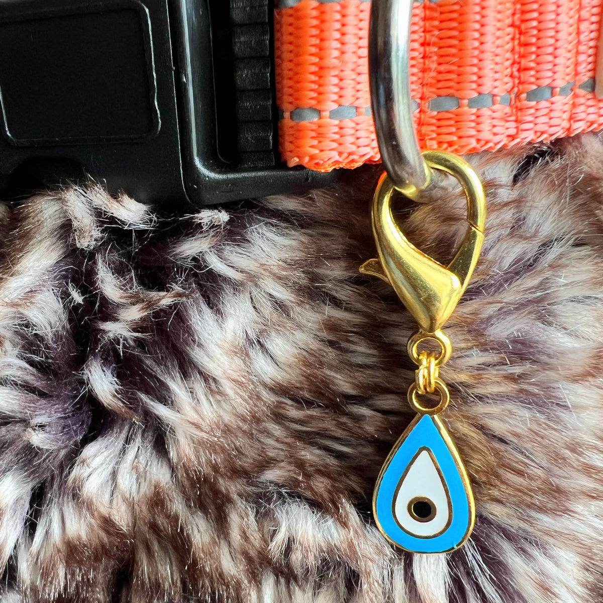 Raindrop Nazar Pet Charm in 22k gold plating clipped to a pet collar
