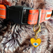 PREORDER - Pet Protection EvilEye - Heart Charm