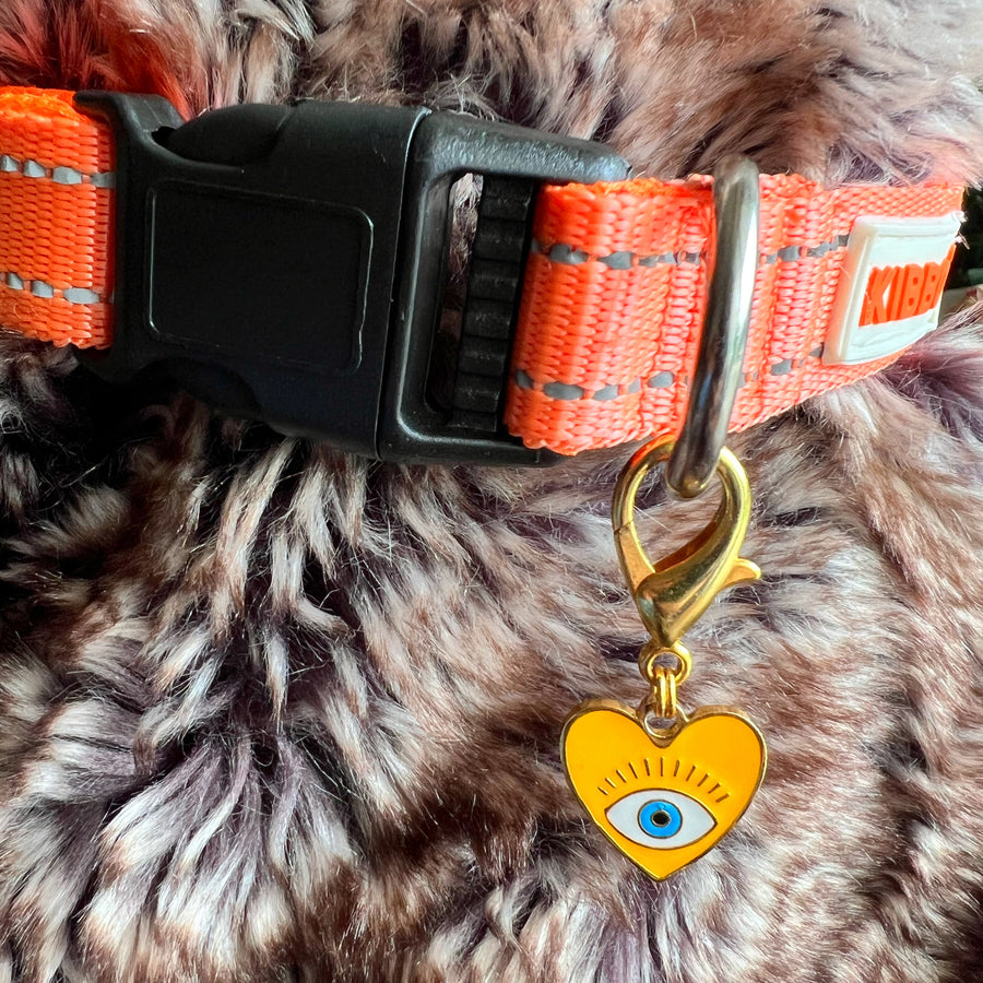 PREORDER - Pet Protection EvilEye - Heart Charm