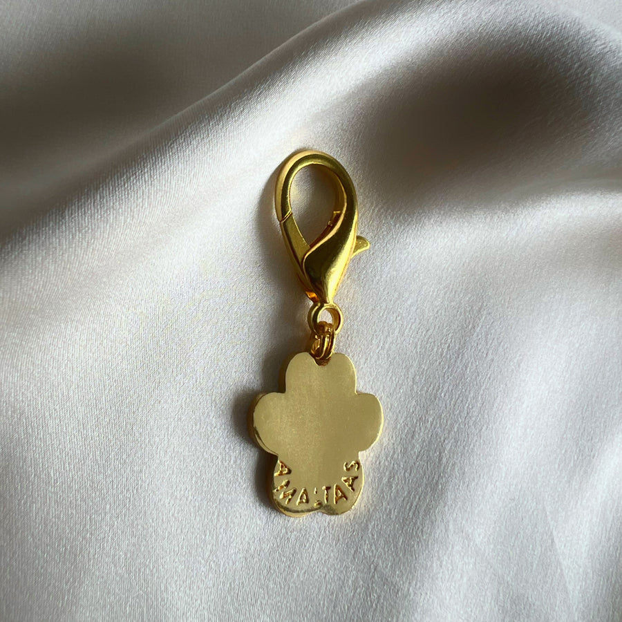 Pet Protection EvilEye - Paw Charm