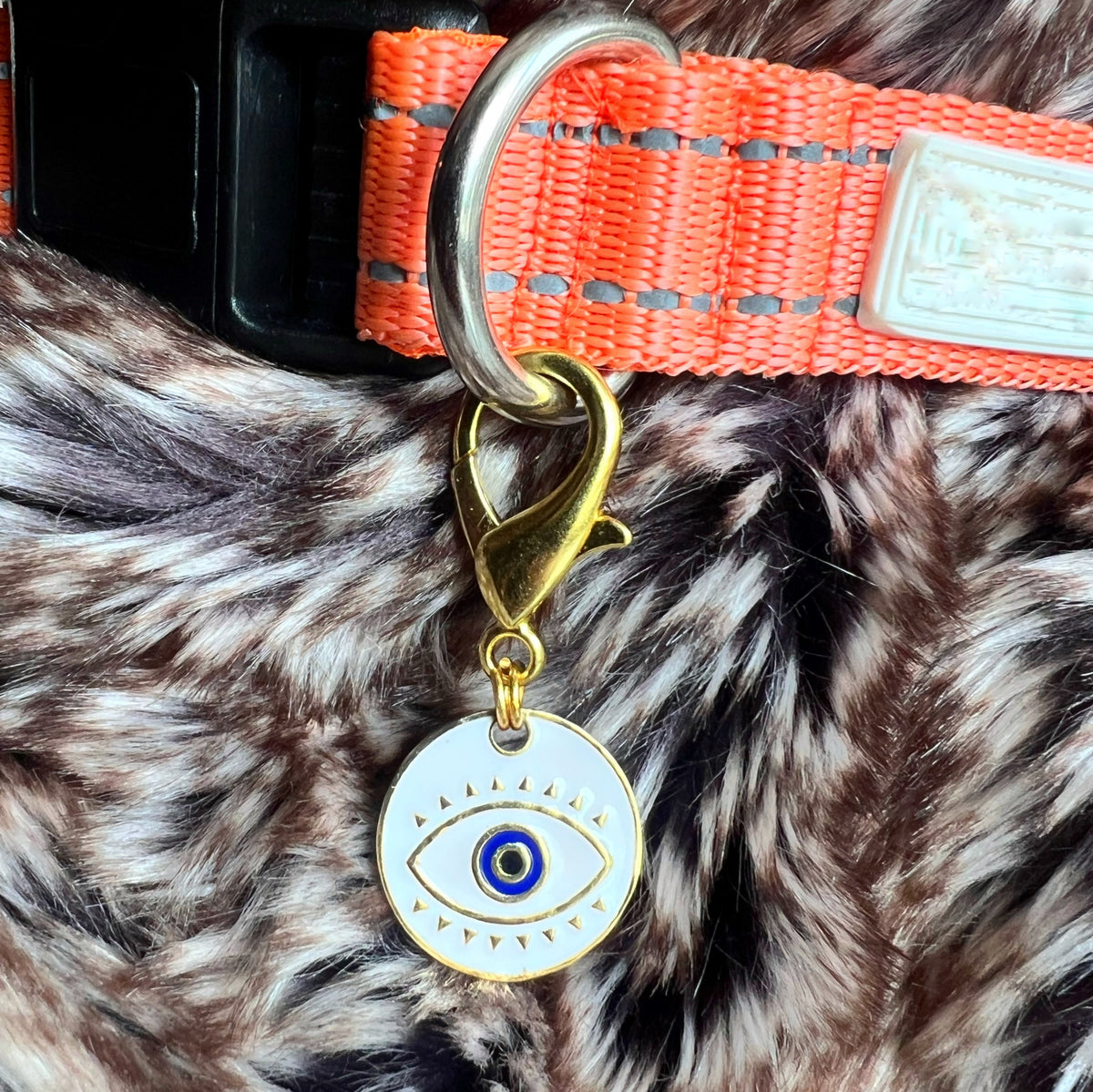 White Medallion Nazar Pet Charm in 22k gold plating clipped to a pet collar