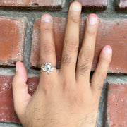 MEN - Tortoise Ring 92.5 Silver