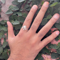 Men Ring - Tortoise 92.5 Silver