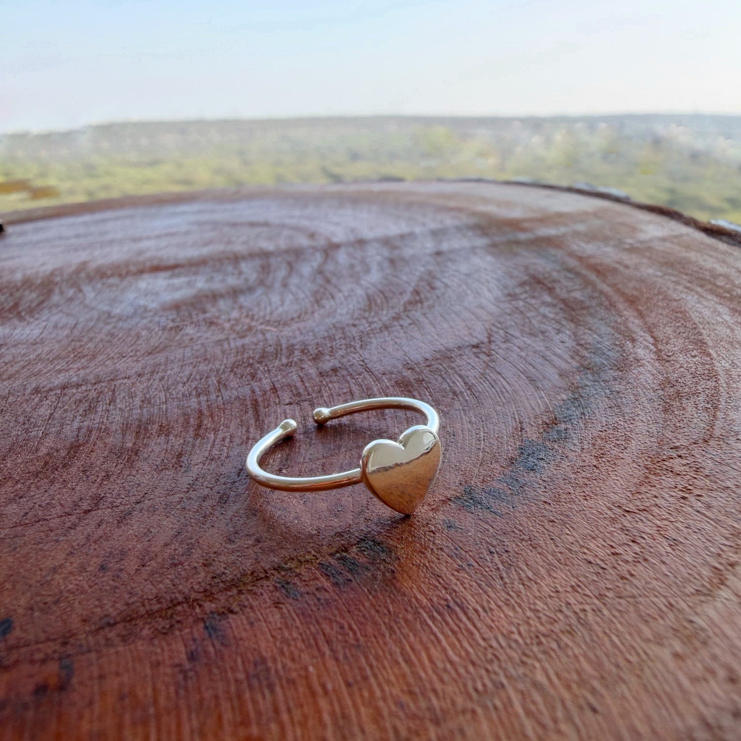 My Heart Ring 92.5 Silver