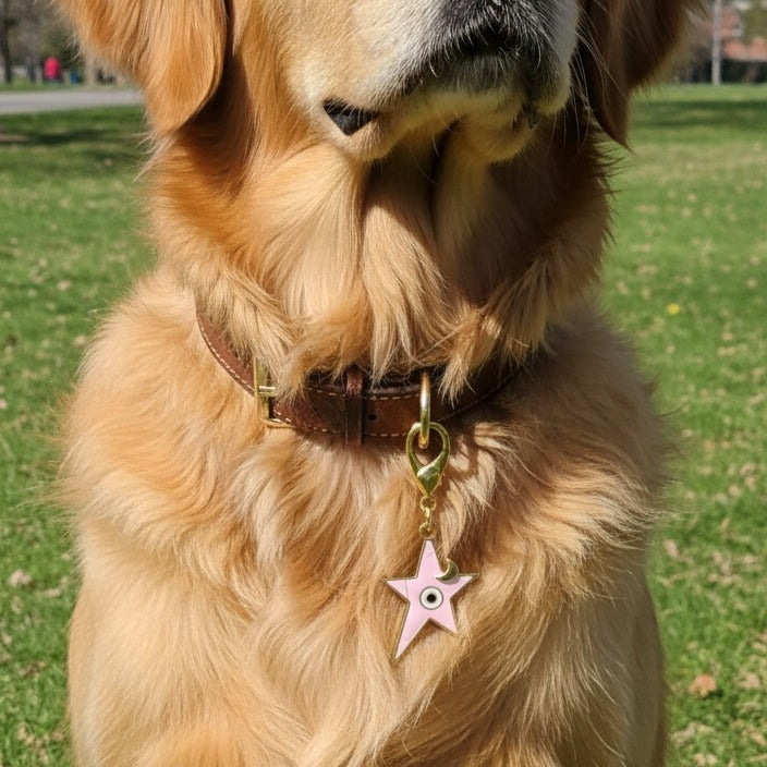 Pet Protection EvilEye – Pink Star Charm