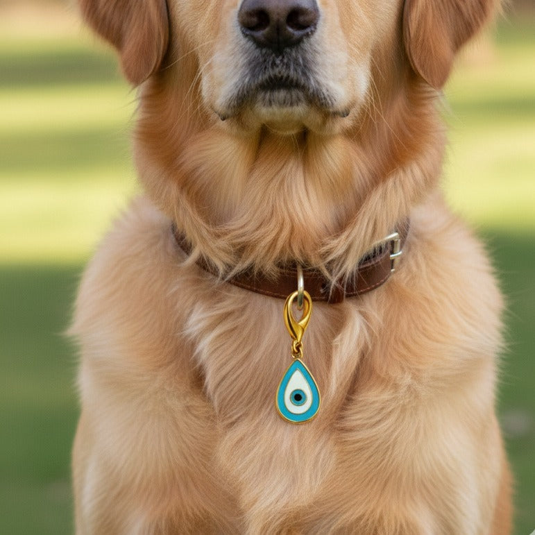 Pet Protection EvilEye - Raindrop Charm