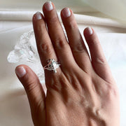 WOMEN - Tortoise Ring 92.5 Silver
