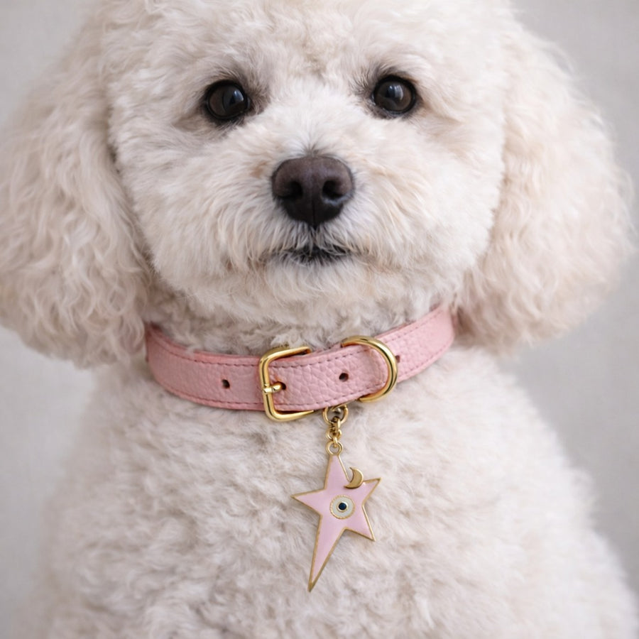 Pet Protection EvilEye – Pink Star Charm