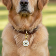 Pet Protection EvilEye - White Medallion